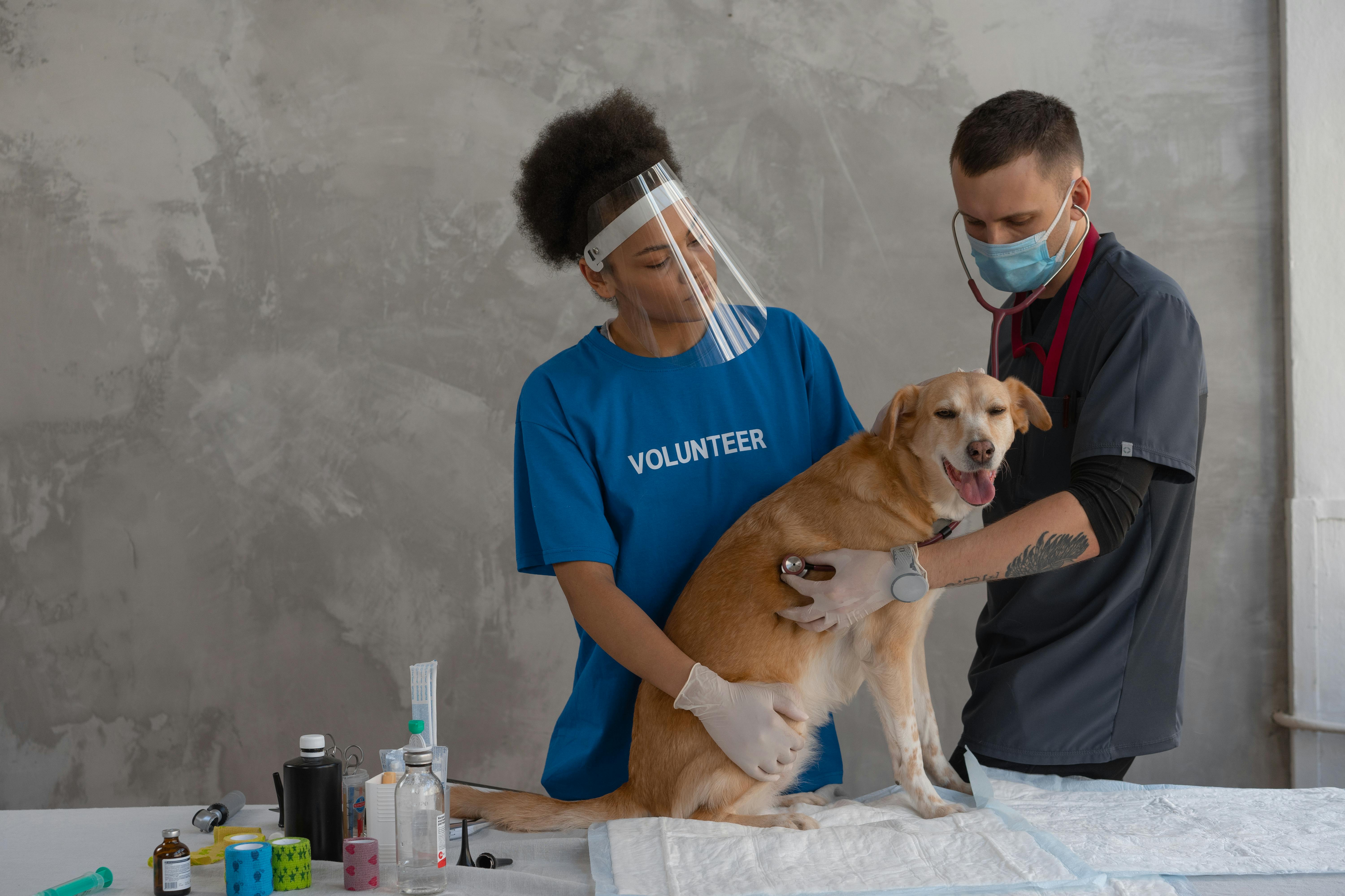 Animal Healthcare